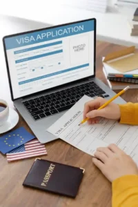 How Government Portal Errors Delay Visa Processing — And How PROs Prevent It